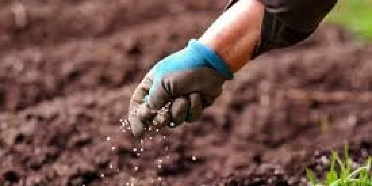 Global Fertilizer Market Size And Forecast Report 2024-2030