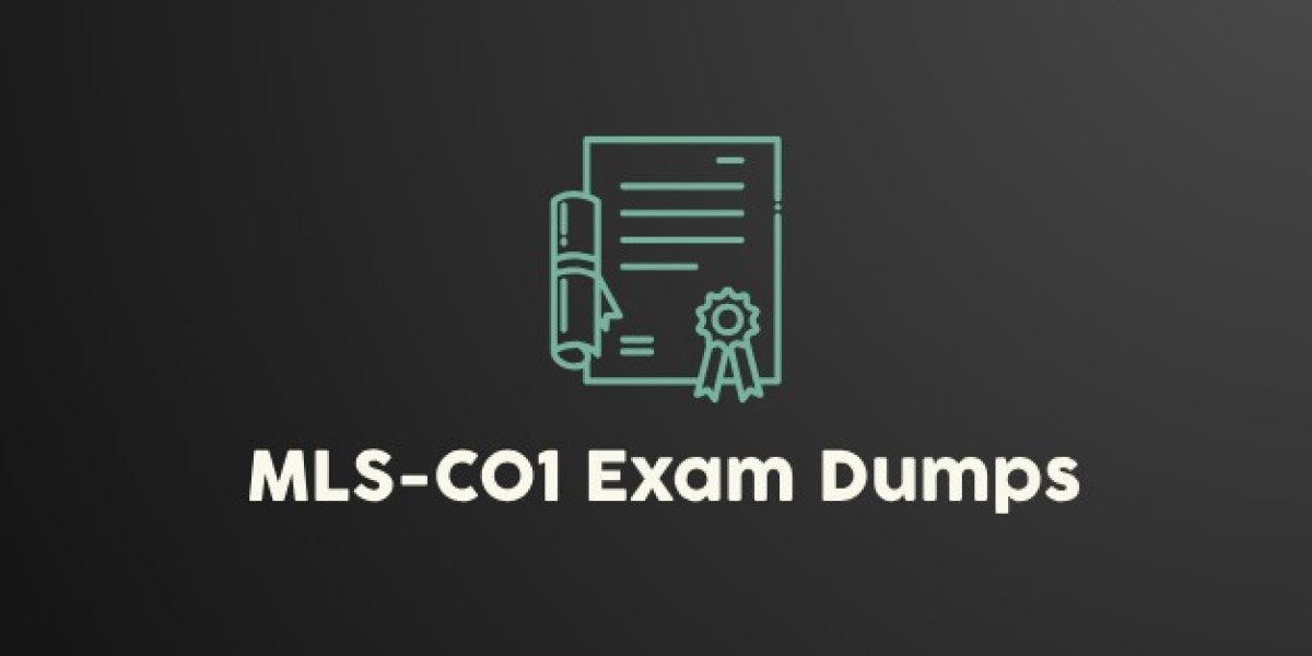 DumpsBoss MLS-C01 Exam Dumps: Built for Busy Professionals