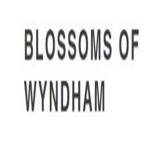 blossomof wyndham profile picture