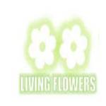 living flowers Profile Picture