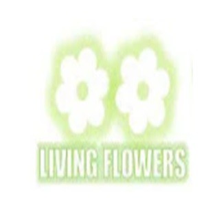 living flowers Profile Picture