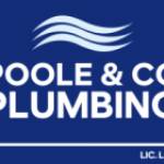 pool Plumbing Profile Picture