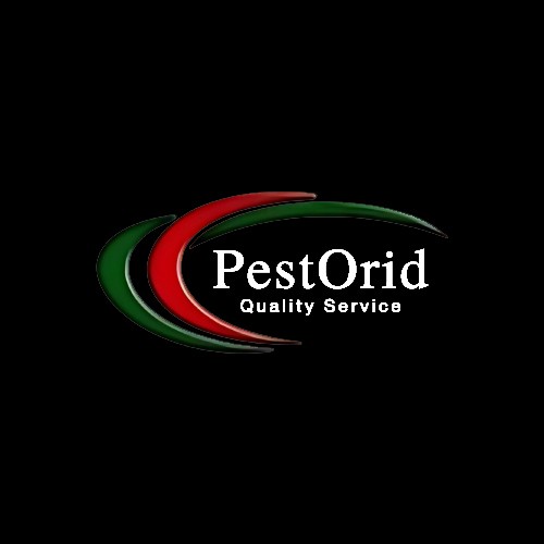 pestorid pestorid Profile Picture