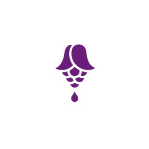 Absolute Essential Profile Picture
