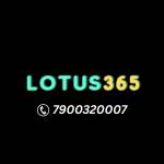 Lotus365 casinos profile picture