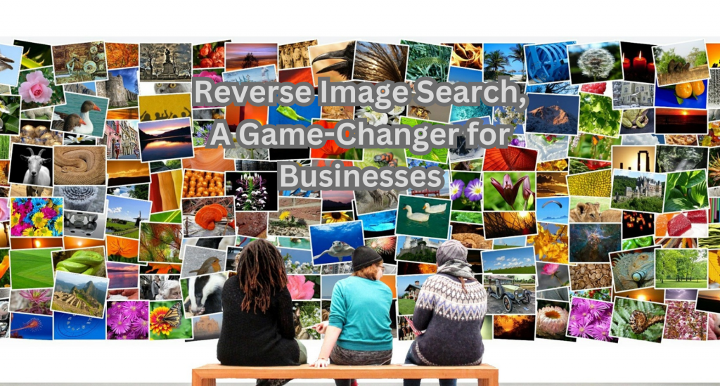 Toronto IT Services: Reverse Image Search, A Game-Changer for Businesses - EB Solution