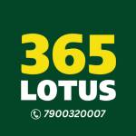 lotus365 buy Profile Picture