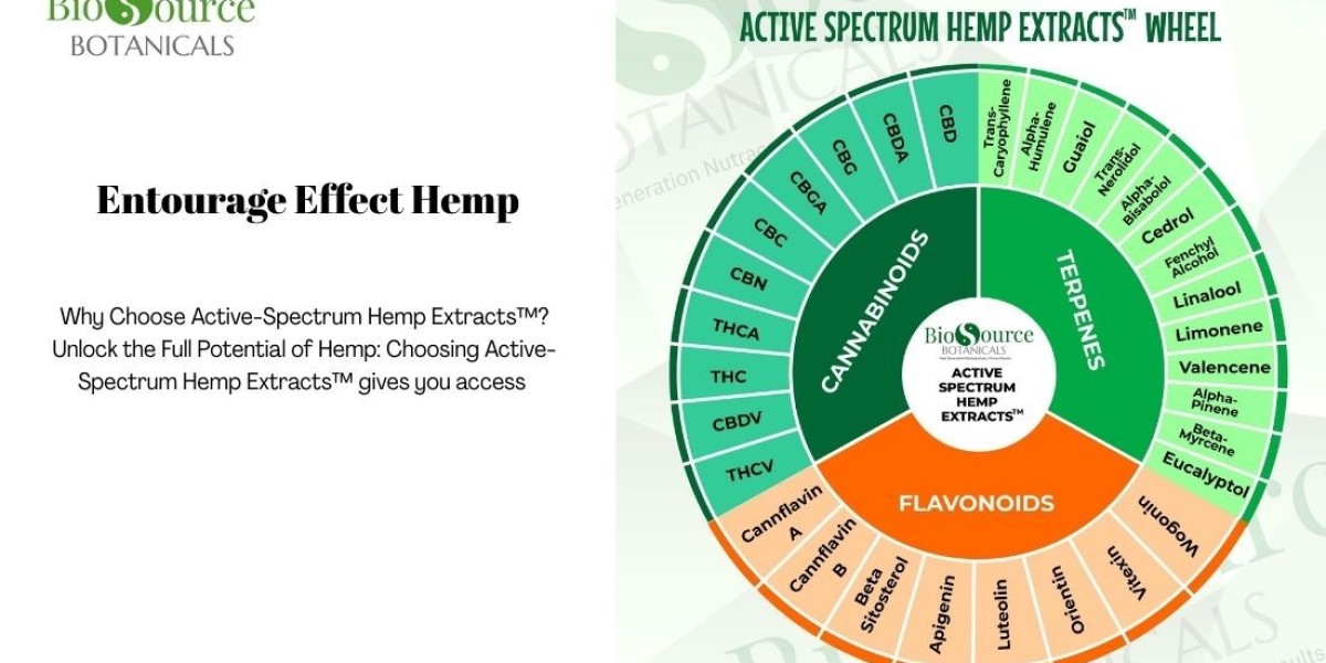 Entourage Effect: How Active Spectrum™ Hemp Extracts Elevate Natural Wellness