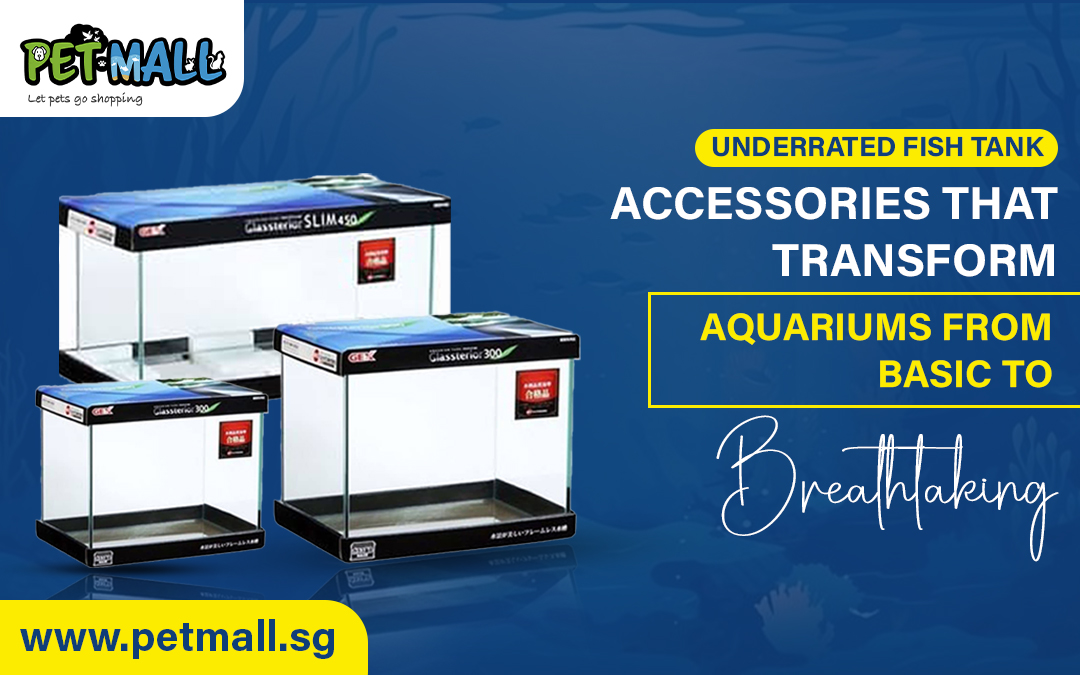Underrated Fish Tank Accessories That Transform Aquariums from Basic to Breathtaking – PetMall Singapore