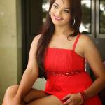 Delhi Escorts Profile Picture